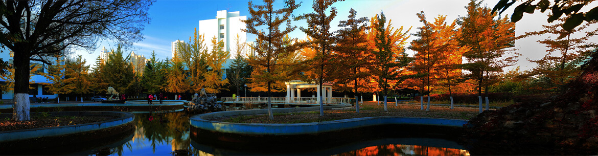 Liaodong University